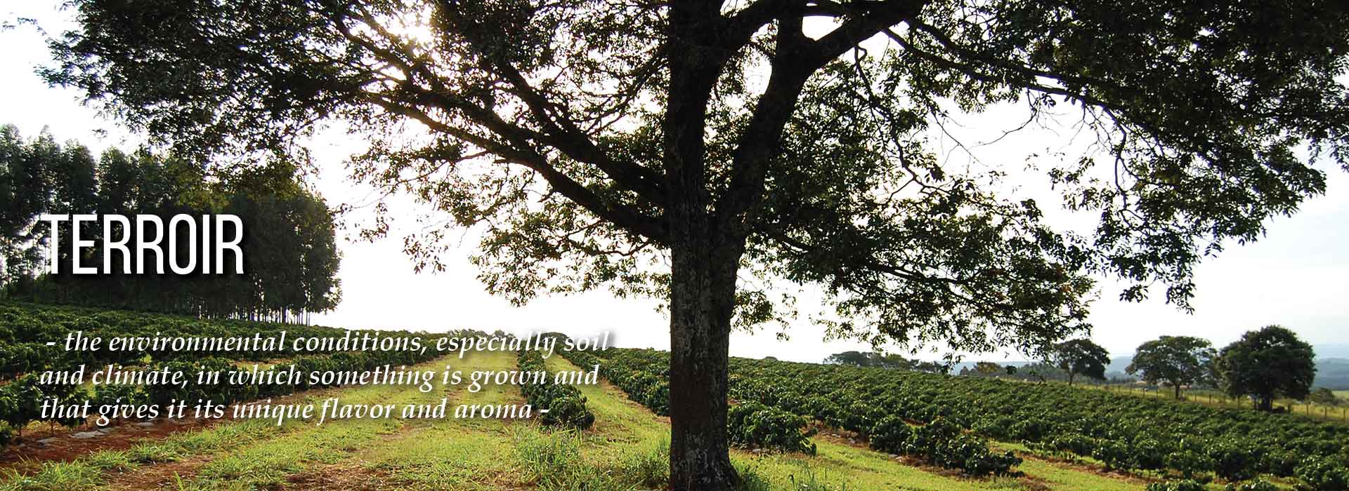 FarmPageHeader