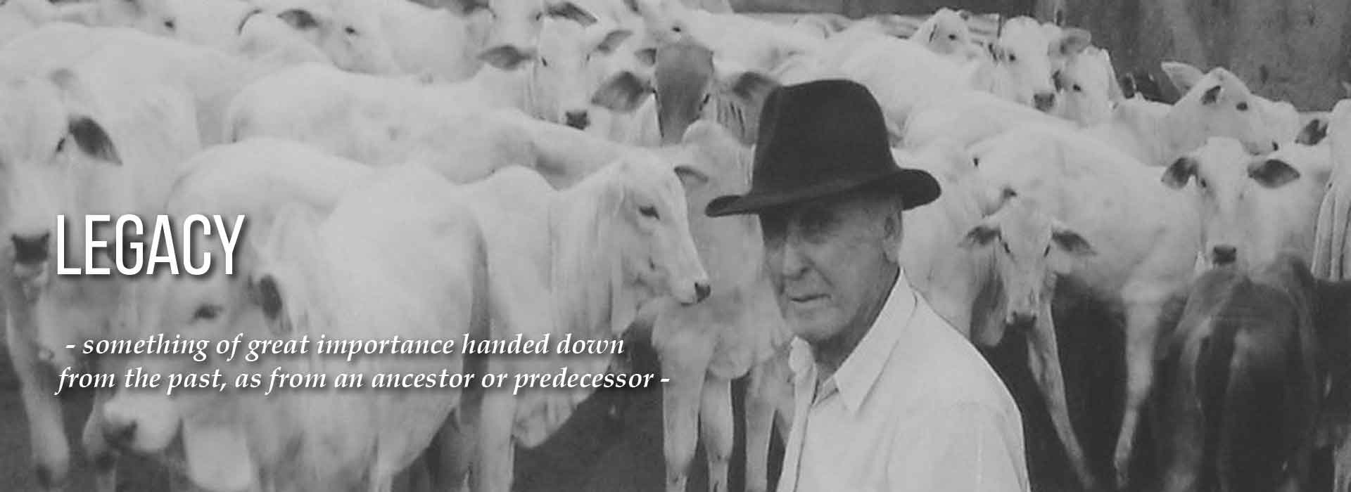 HistoryPageHeader
