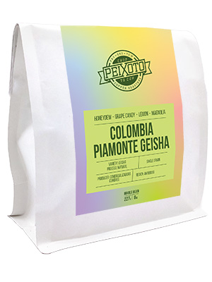 Piamonte Geisha 2026